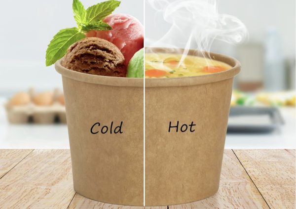 Kraft Paper Roll with PE/PLA Coating - Image 3